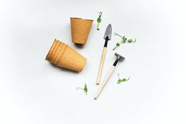 Seed Starting Kit